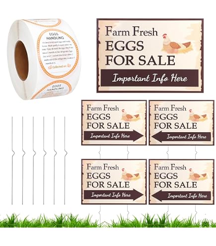 thumbnail image 2 of Mvgges Funny 'Fresh Eggs For Sale' Metal Tin Sign - 16x12 Inch Rustic Novelty Sign For Indoor & Outdoor 2 of 14