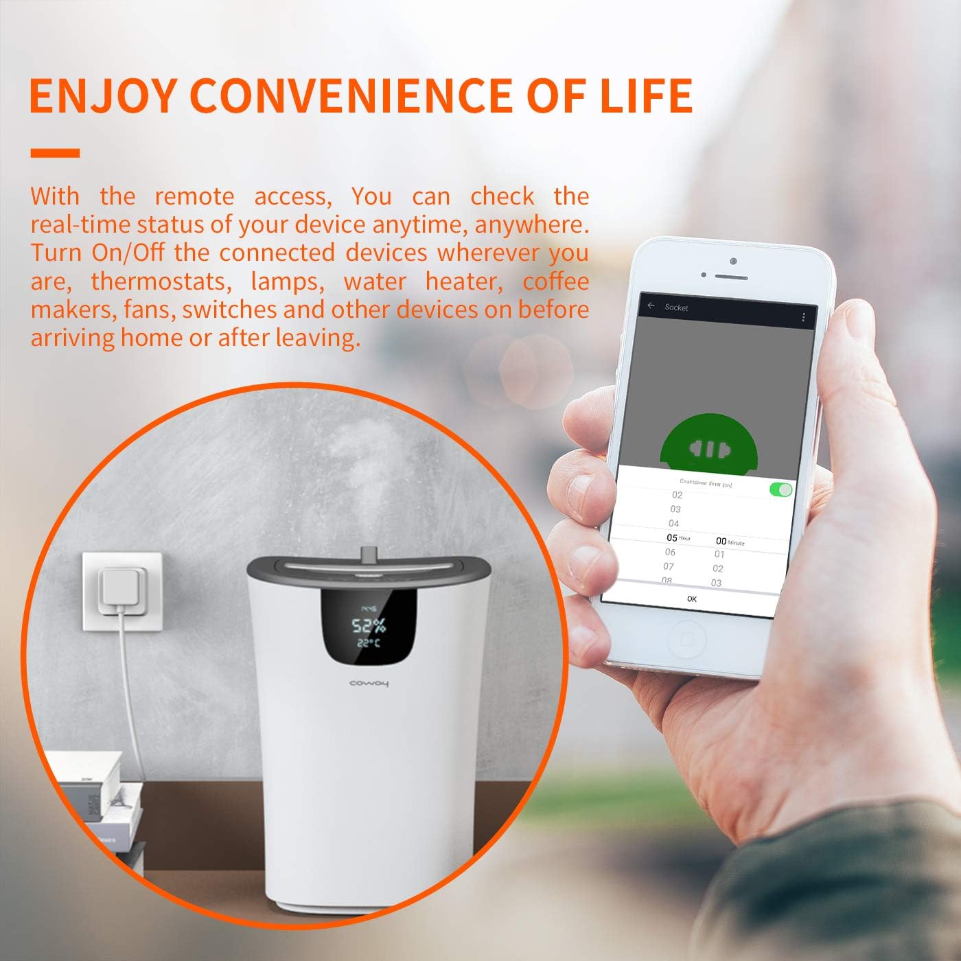 google home hub remote access