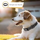 HEELE Reflective Dog Collar Adjustable Large 40-66cm Neoprene Padded view 4
