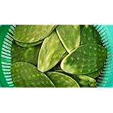 Fresh Edible Spineless Cactus Nopales Paddle 2 lbs.