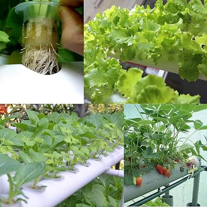 HUKOER Kit cultivador, Auto Kit de riego Cloner DIY que planta72 ...