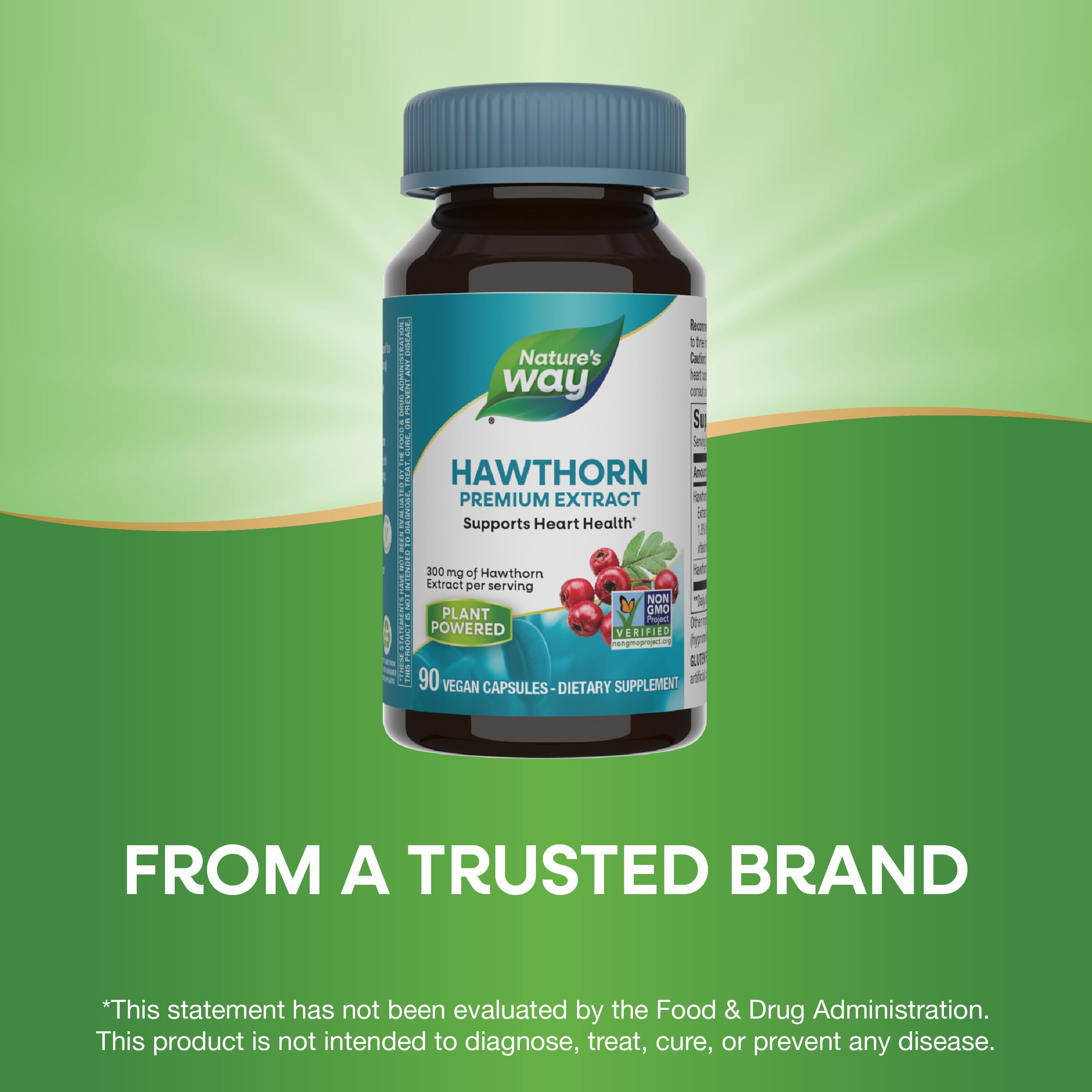 Nature's Way Hawthorn, Premium Extract, Support Heart Health*, Standardized to 1.8% Flavonoids, Non-GMO Project Verified, Vegan, 90 Capsules (Packaging May Vary)