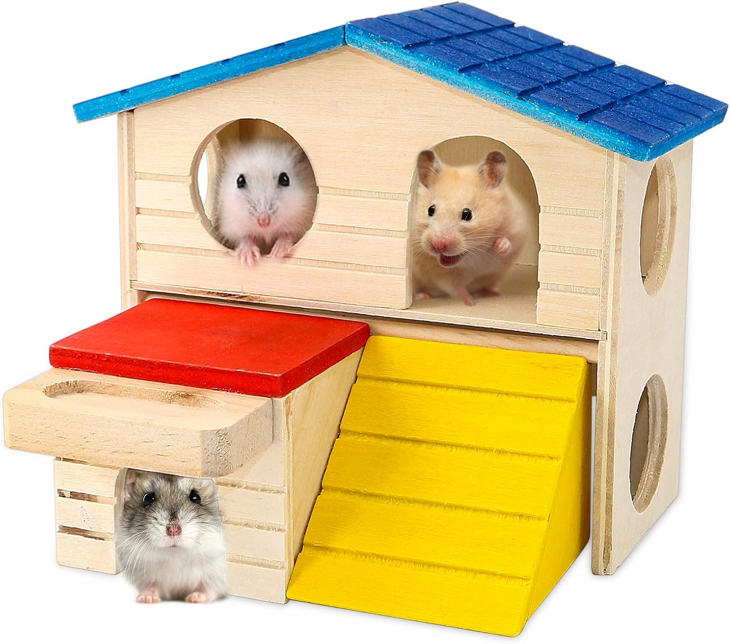 Download Amazon Com Bwogue Pet Small Animal Hideout Hamster House Deluxe Two Layers Wooden Hut Play Toys Chews Pet Supplies