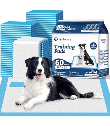 Heavy Duty Puppy Training Pads Amazon Potty Pads For Dogs Dog
