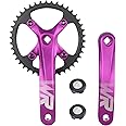 WEEROCK Mountain Bike Crankset Aluminium Alloy 1 Piece/Single 42T Charing Crank Set with 170mm Arm 104 BCD, Compatible with Single Speed Bicycle and 6/7/8/9/10/11 Speeds MTB Bike