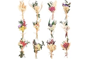 Fumwase 12Pcs Mini Dried Flower Bouquet Dried Wildflowers Dried Flowers for Vase Natural Real Flowers for Crafts Small Boho Dried Flowers Bulk Dried Flowers for DIY Photo Props Gift Wedding Decor