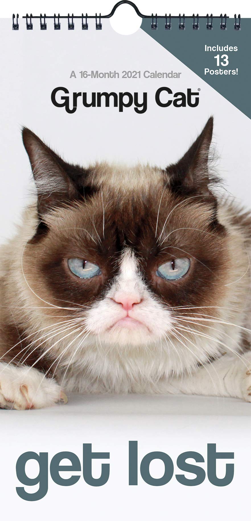 grumpy cat calendar 2021 2021 Grumpy Cat Mini Poster Calendar Trends International 9781438877624 Amazon Com Books grumpy cat calendar 2021