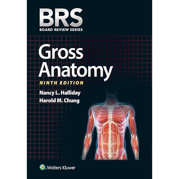 BRS Gross Anatomy 第9版 maxresdefault.jpg?sqp=-