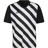 adidas Unisex-Child Entrada 22 Graphic Jersey