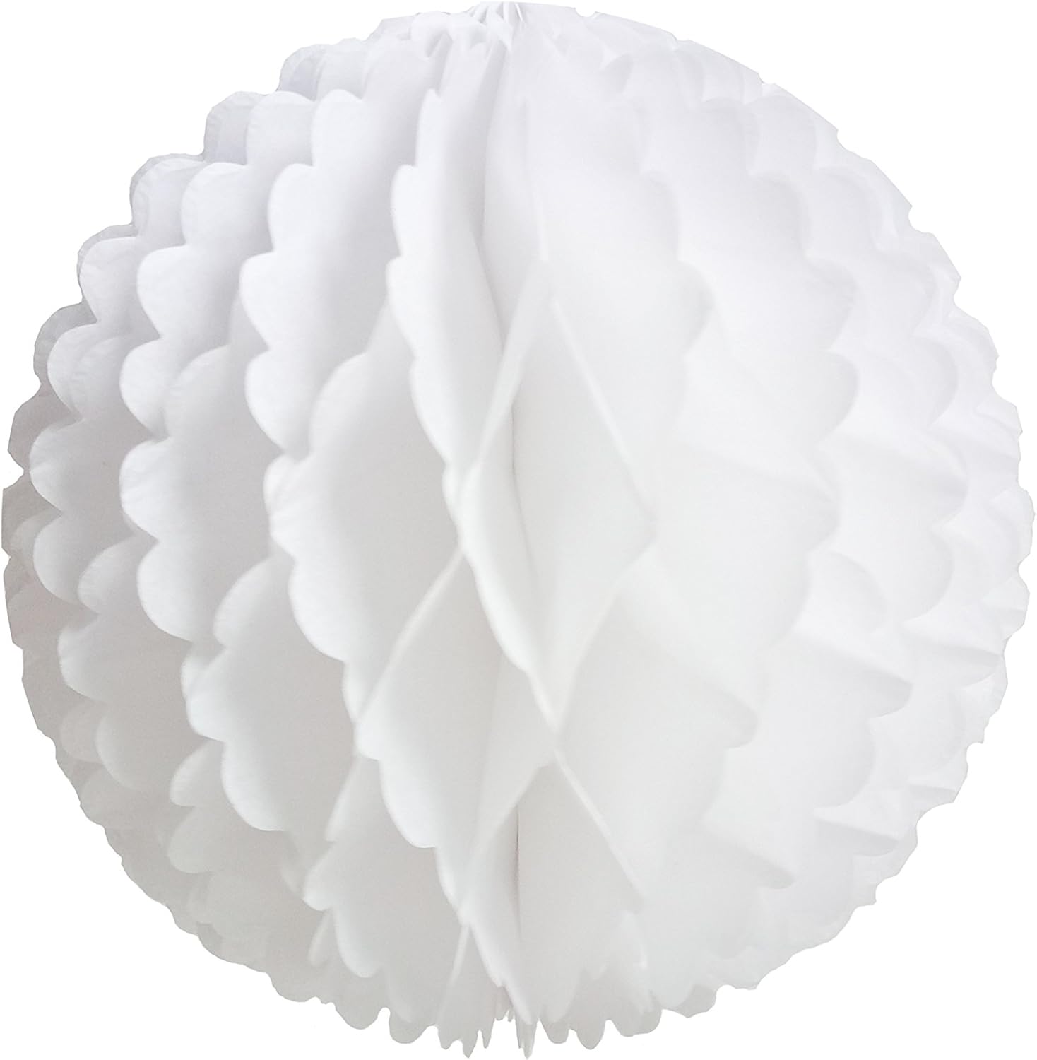 10Pcs 8 inch Honeycomb Balls Party Pom Poms Wedding Flowers Wall Decoration Flower Balls Hanging Pom Poms for Party Wedding Birthday Nursery Home Decor (White): Arts, Crafts & Sewing