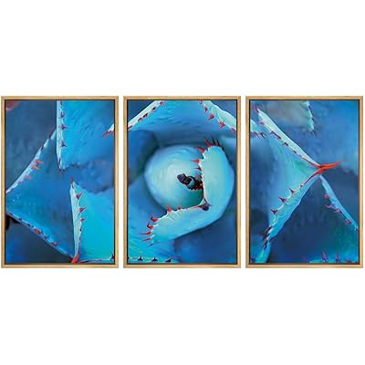 SIGNWIN Framed Canvas Wall Art A Blue Succulent...
