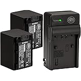 Amazon Com Sony Np Fv70a V Series Rechargeable Digital Camera Battery Pack Black Camera Photo