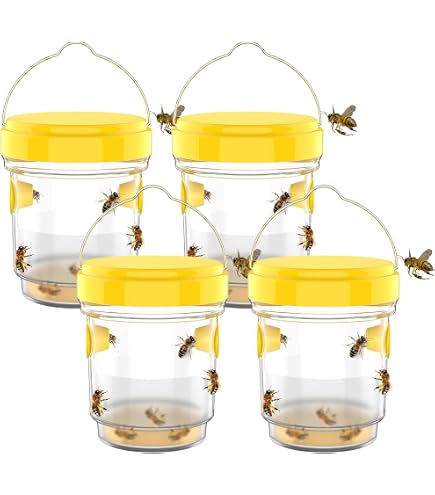Piège à Frelons Et Guêpes Pour Pots (lot De 4) - Entonnoir Et Couvercle, Jaune, Réutilisable