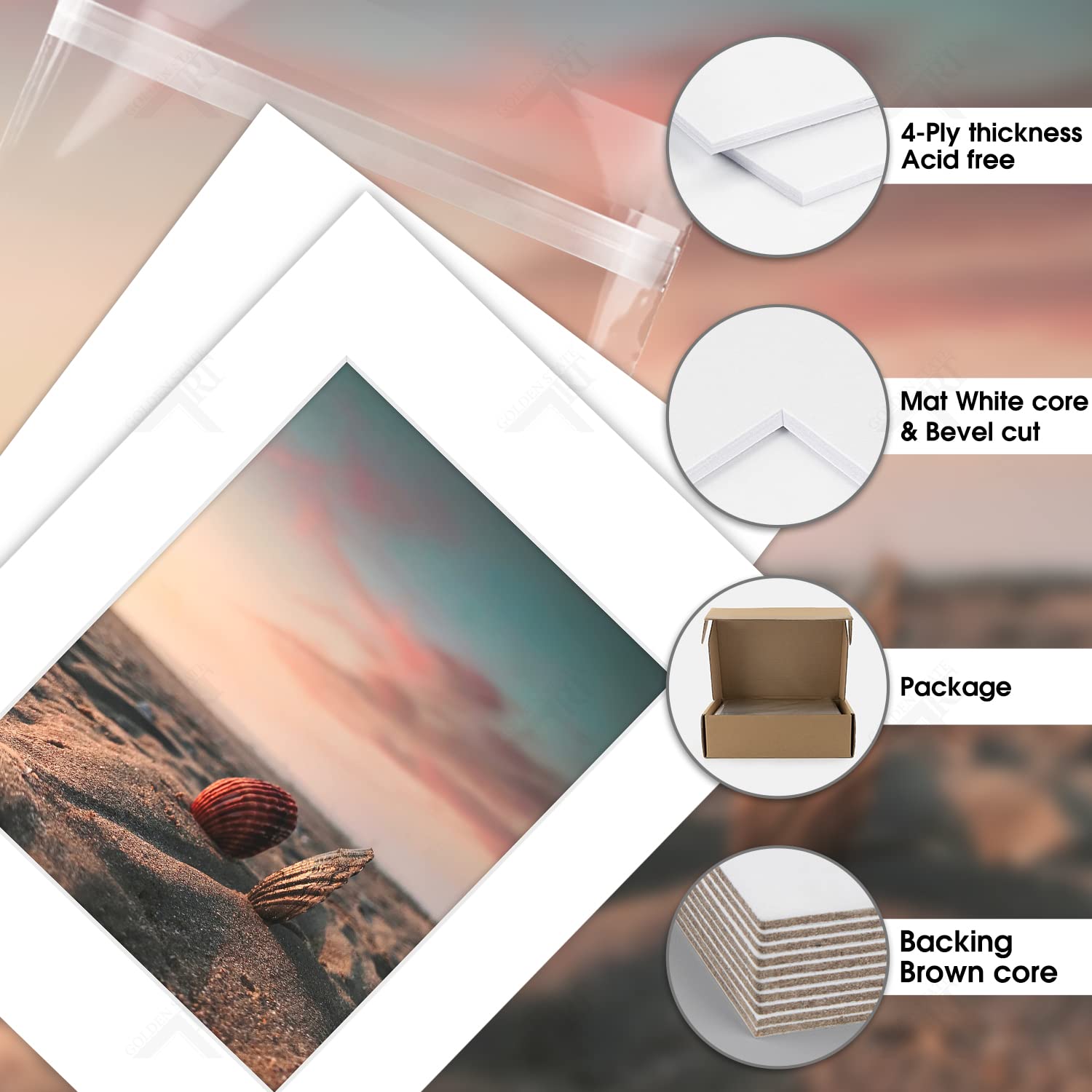 Golden State Art Acid Free, Pack of 25, 11x14 White Picture Mats Mattes with White Core Bevel Cut for 8x10 Photo + Backing + Bags