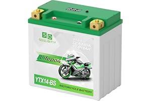 SDULIBITIY Lithium Motorcycle Battery LiFePO4 YTX14-BS 12.8V 8Ah 680CCA Powersports Battery For Motorcycle, Compatible ATV, UTV, Jet Ski,Generator Battery, 4 wheeler