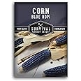 Blue Hopi Corn Seeds for Planting - 1 Packet with Instructions to Plant and Grow Heritage Blue Maize in Your Home Vegetable Garden - Non-GMO Heirloom Variety - Survival Garden Seeds