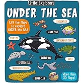 Little Explorers: Under the Sea