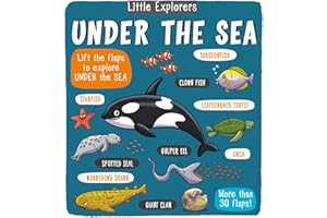Little Explorers: Under the Sea