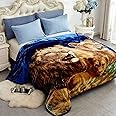 JYK Korean Faux Mink Fleece Blanket 83" X 91", 5.7 LB - 2 Ply Reversible Soft Warm Plush Flannel Blanket (Dolphin/Lion, King)