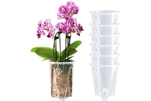 pavtner Orchid Pot 6 Pack 5.5 inch, Orchid Pots for Repotting, Plastic Clear Orchid Pots with Holes, Flower Planter Pot Indoor Outdoor, Orchids Planter