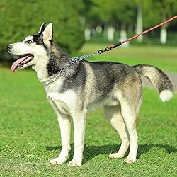 CBBPET Dog Prong Collar, Adjustable Dog Training