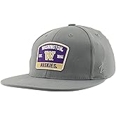 Washington Huskies NCAA Officially Licensed Fitted Hat M15Z Switchback Light Gray, Large