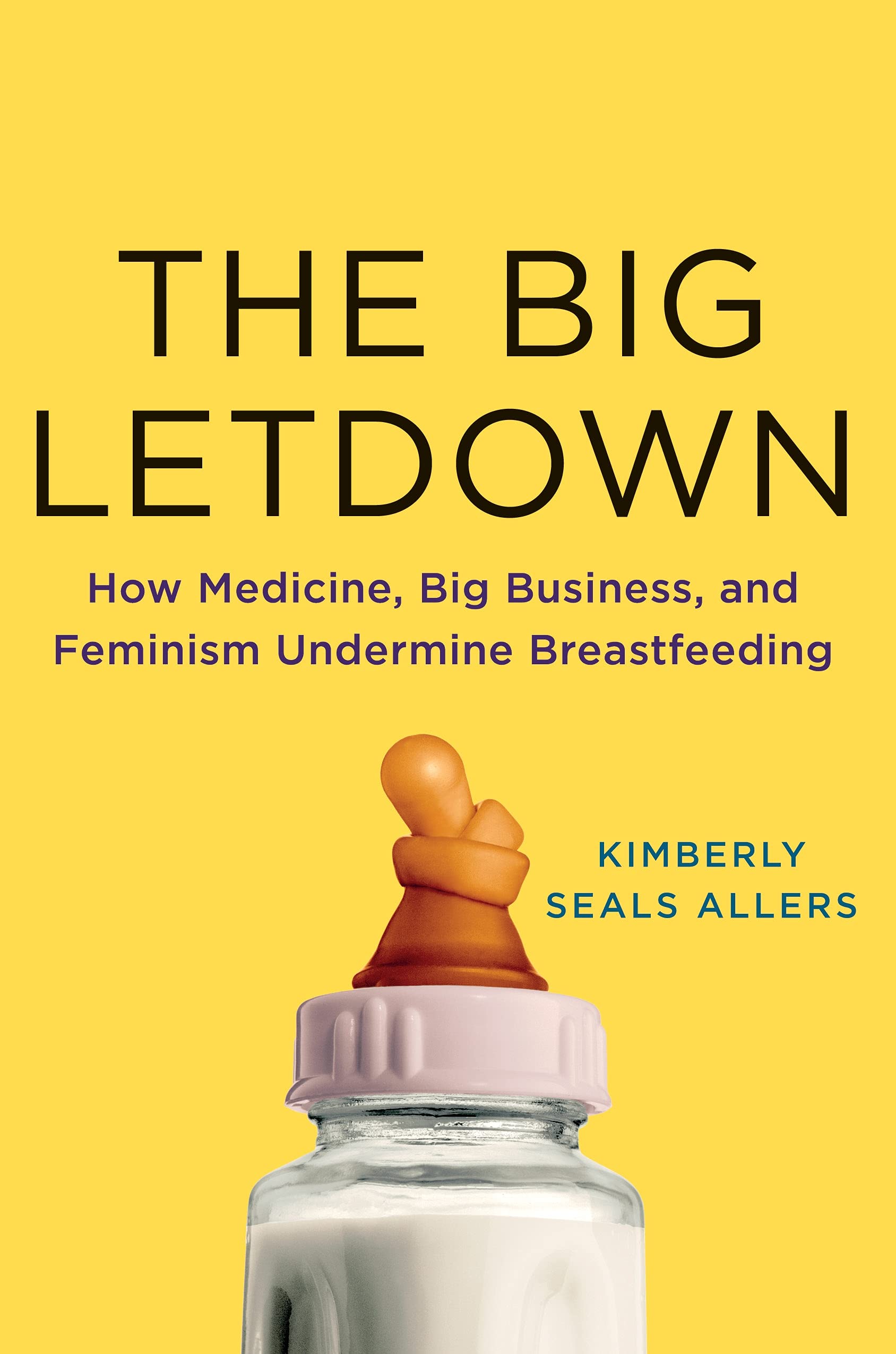 Big Letdown, The: How Medicine, Big Business, and Feminism Undermine Breastfeeding