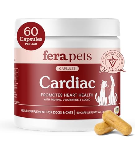 l carnitine vs acetyl l carnitine for heart The Role of L-Carnitine in Kidney Disease and Related Metabolic Dysfunctions