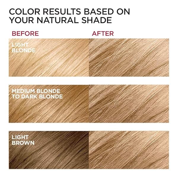 L’OREAL PARISEXCELLENCE # 8 MEDIUM BLONDE KIT