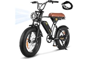 CYCROWN Electric Bike for Adults,1000W/1500W Motor,20/28MPH 55-150Mile ebikes for Adults with 10.4AH/13AH/26AH Battery,20" Fat Tire Electric Dirt Bike Commuting Off Road Ebike, UL2849