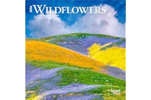 Wildflowers | 2026 7 x 14 Inch (Hanging) Monthly Mini Wall Calendar | BrownTrout | Flower Outdoor Plant