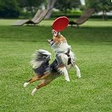 Vivifying 2 Pack 7 Inch Natural Rubber Flying Disc for Dogs Green Red view 6