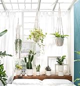 Mkouo Set of 3 Macrame Plant Hangers Cotton Rope Bead 73 89 109 cm view 3