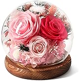 Valentines Day Flowers Gifts for Women,Forever Real Preserved Roses in Glass Dome,Valentines Roses Gifts for Her Wife Girlfriend Women Best Friend/Pink
