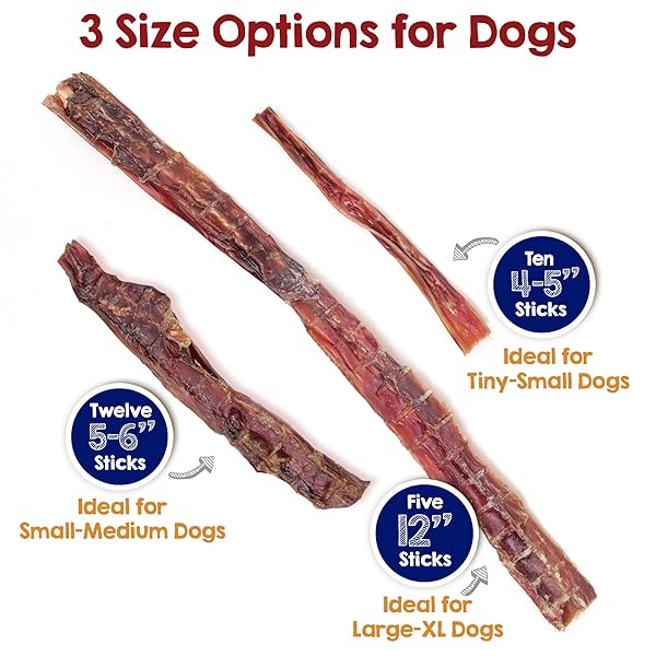 RILEY’S STEER BULLY STICKS FOR TINY TO SMALL DOGS – ODOR FREE SINGLE INGREDIENT CHEW TREAT – EASILY DIGESTIBLE, 100% BEEF PIZZLE STICKS FOR DOGS – 4-6″, 10CT