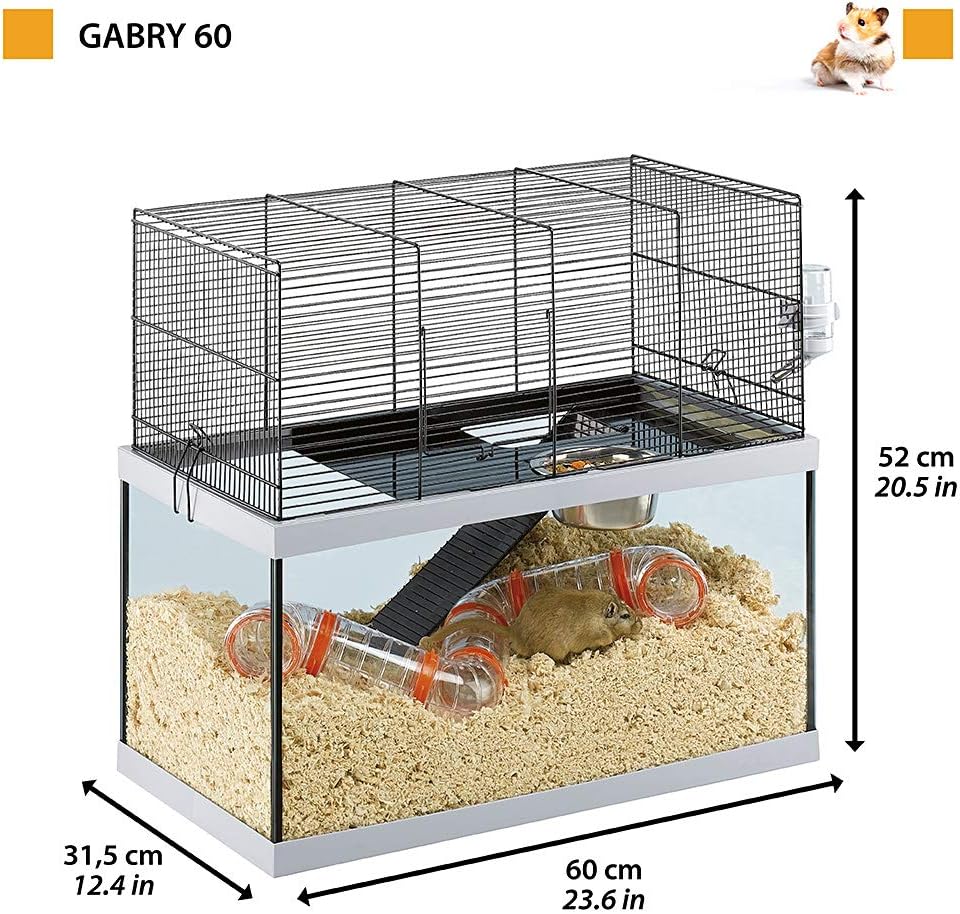 large glass gerbilarium