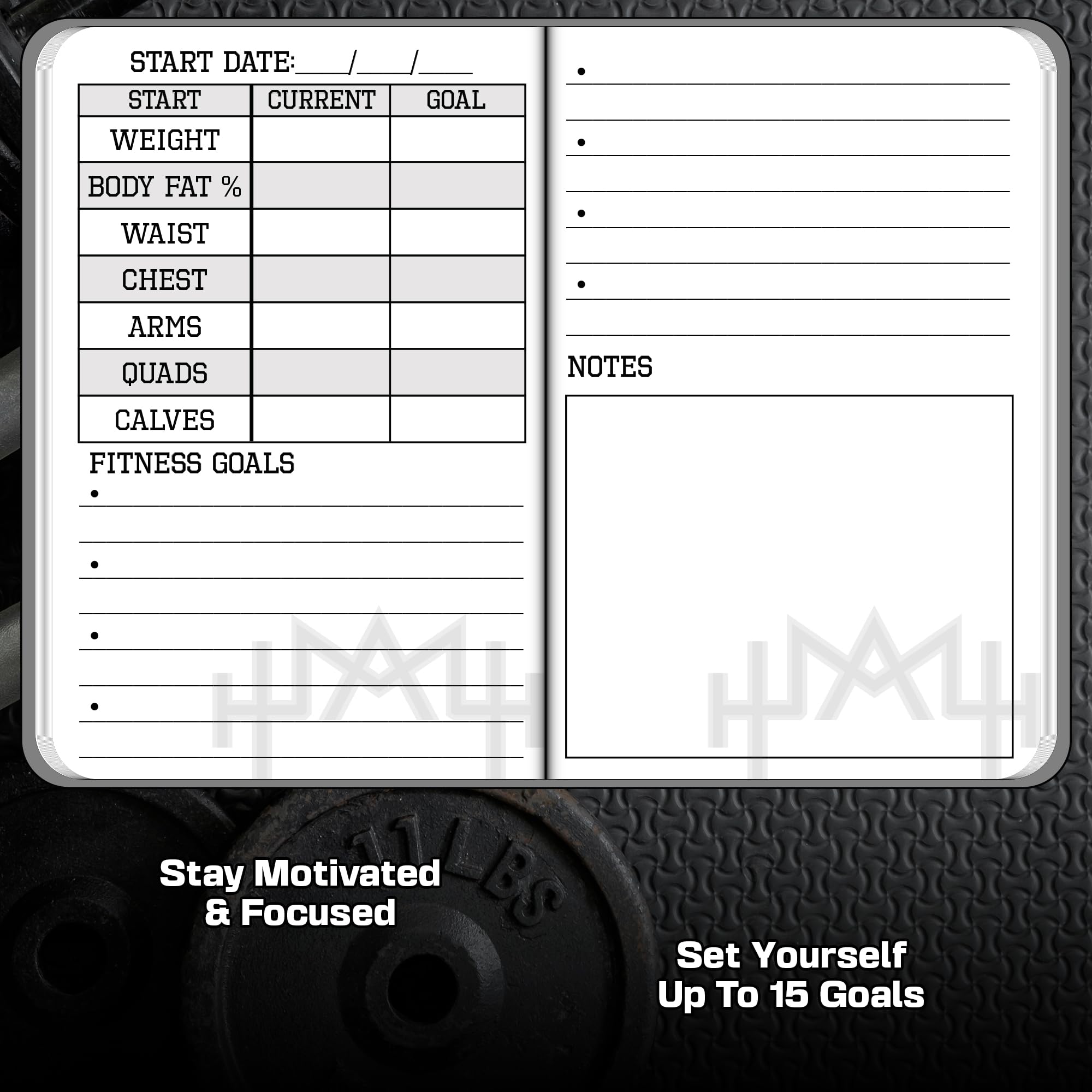 View 4
