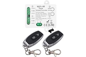 DieseRC Tuya 2-Channel WiFi Smart Switch, AC 90V - 250V 220V Passive Output Relay Module, with 2X RF Remote Control, Compatible with Alexa/Google Home