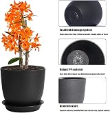 PROFIKLA Plastic Plant Pots Set 20cm 18cm 16cm with Drainage Holes Saucers view 3