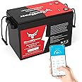 12V 300Ah Small LiFePO4 Lithium Battery with APP, 200A BMS,10000+ Deep Cycle Lithium Iron Phosphate Battery Great for Winter Power Shortage, RV, Marine and Off Grid Applications