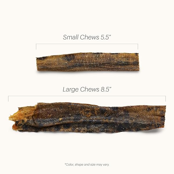 THE HONEST KITCHEN HUMAN GRADE OCEAN CHEWS™ HEARTY WOLFFISH SKINS DOG TREATS, 3.25 OZ (BEAMS™)