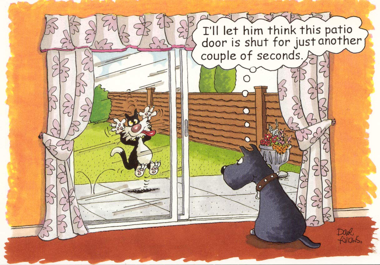 Male/Female Funny Birthday Card for Him/Her - General Card for Men/Women - Dog's Revenge on the Cat - Made in the UK