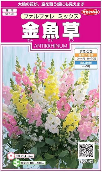 Amazon サカタのタネ 実咲花5154 金魚草 ファルファレ ミックス 花