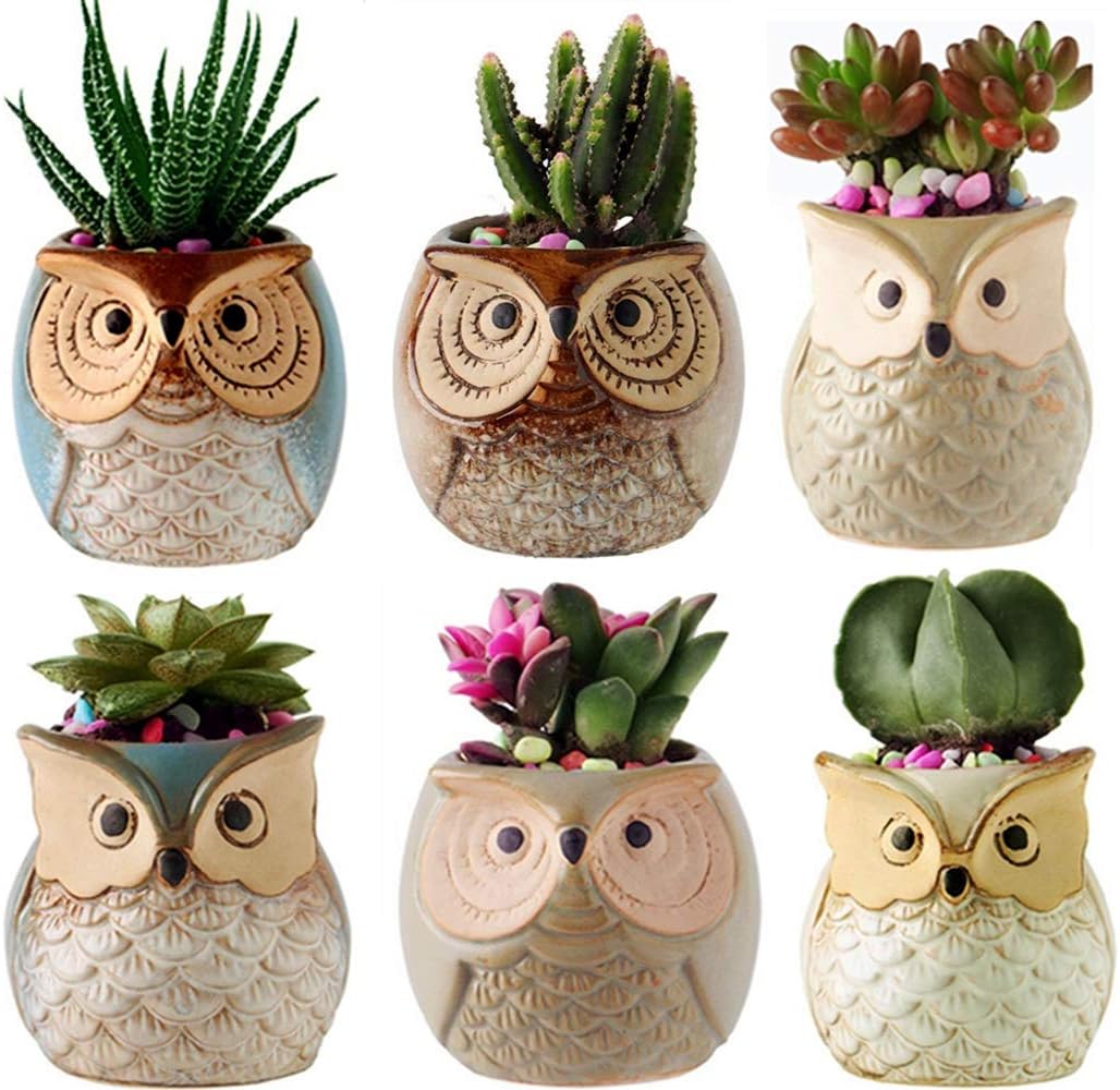 YLINGSU 2.5 Inch Owl Succulent Plants Pots Ceramic Set, Cactus Plant Pot,Mini Flower Pot, with A Hole Perfect owl Gifts (6 Pack)