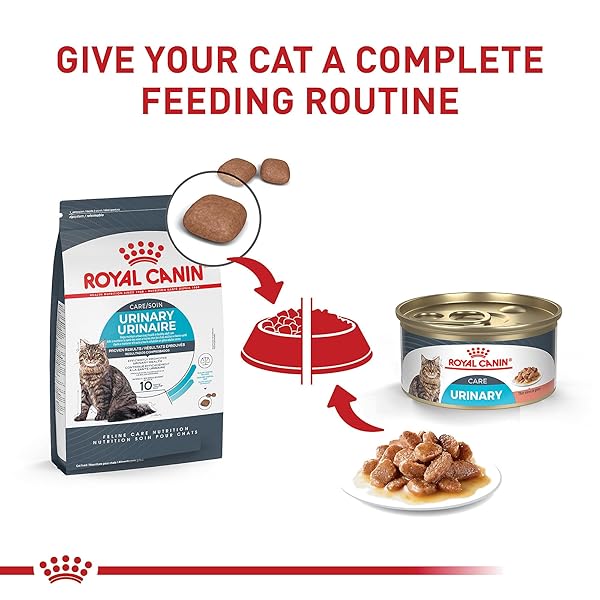 ROYAL CANIN FELINE URINARY CARE THIN SLICES IN GRAVY WET CAT FOOD MULTIPACK 3 OZ. COUNT OF 12