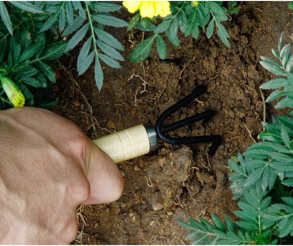 Huture Mini 3pcs Durable Spade Shovel Rake for Plant Potted Flowers Seedlings Loose Soil Erramientas Bonsai Wooden Handle Perfect Size for Little Hands Light Use Indoor Outdoor Gardening Care Gifts : Garden & Outdoor
