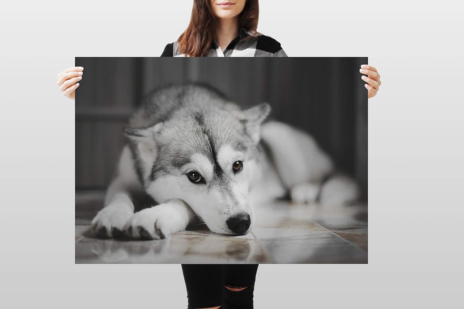 100以上 シベリアンハスキー イラスト 戌 イラスト 無料