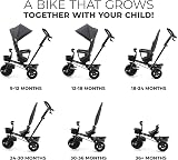 Kinderkraft AVEO Tricycle 9 Months to 5 Years Adjustable Handle Gray view 2