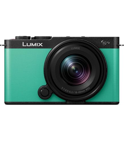 Amazon.com : Panasonic Lumix DMC-FX500K 10.1MP Digital