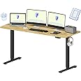 FLEXISPOT EN1 One-Piece Solid Wooden Standing Desk 63 x 24 Inches Height Adjustable Electric Sit Stand Home Office Desks (Black Frame + Rubber Wood Top, 2 Packages)